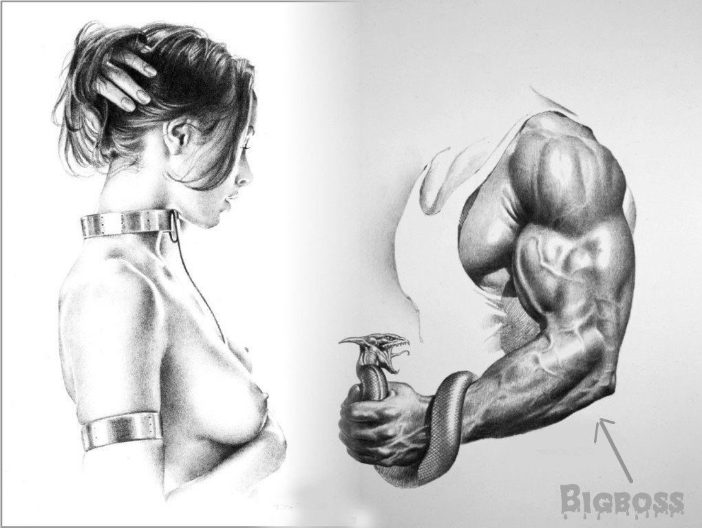 BigBoss - muscle